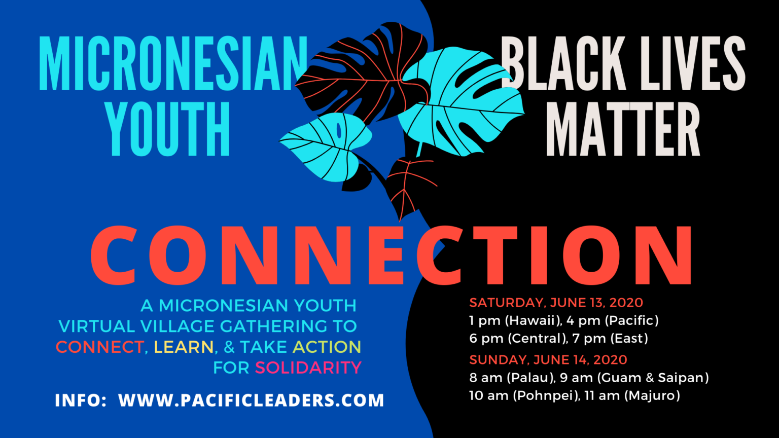 Micronesian Youth & Black Lives Matter: A Virtual Connection – PLAN